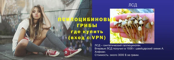 дурь Горно-Алтайск