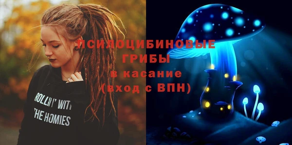 мдпв Горнозаводск
