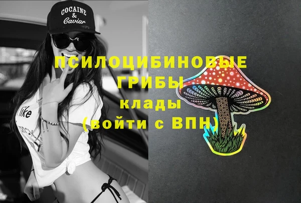 дживик Вяземский