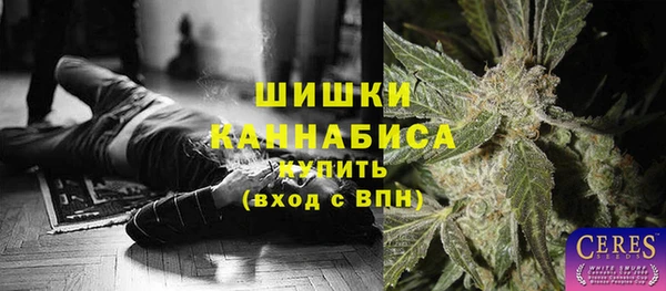 мдпв Горнозаводск