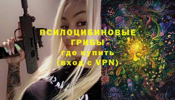 дурь Горно-Алтайск