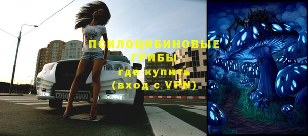 мдпв Горнозаводск