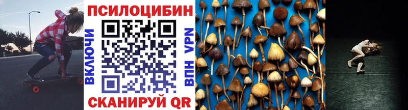 ссылка на мегу tor  купить наркотик  Иланский  Галлюциногенные грибы Psilocybine cubensis 