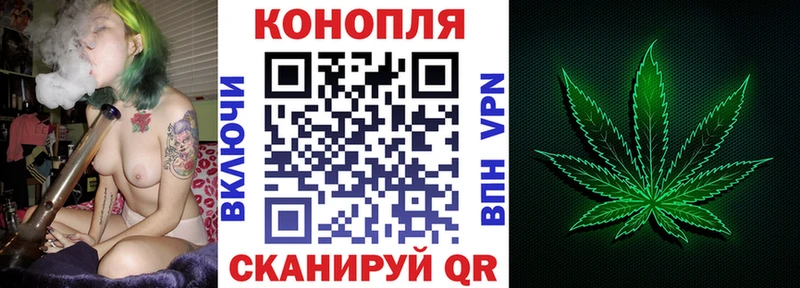 Бошки марихуана THC 21%  купить закладку  Иланский 